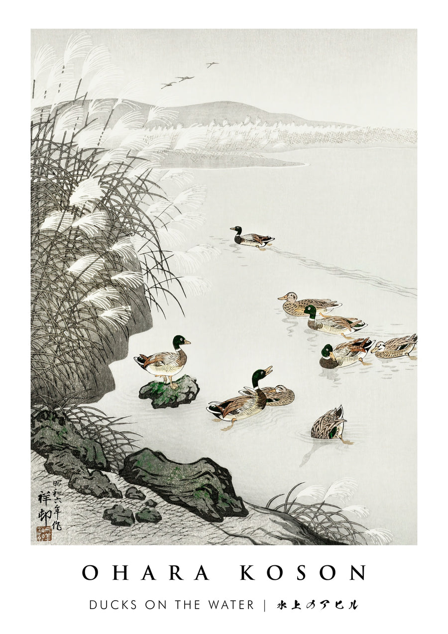 Ducks on the Water - Print only