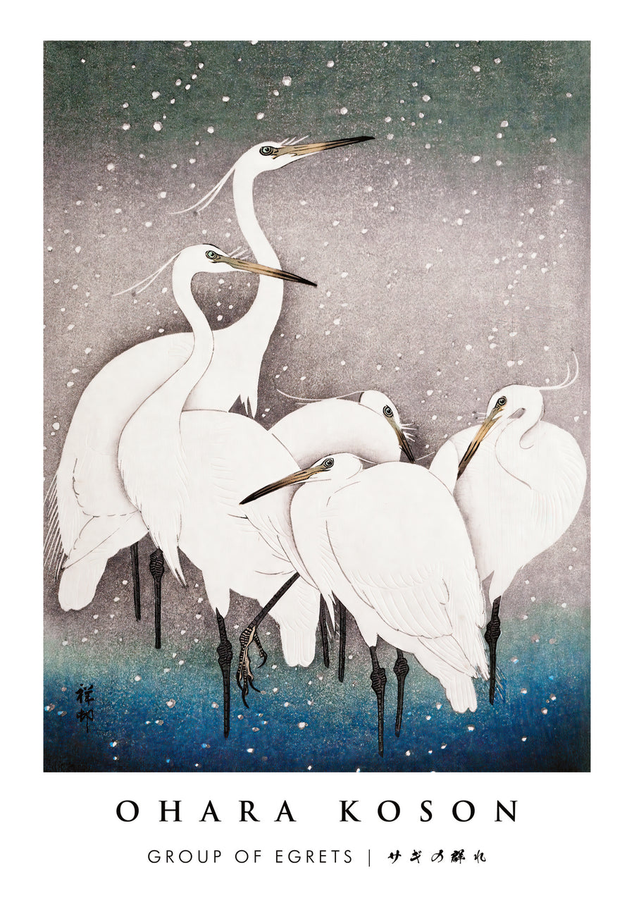 Groep reigers - Print only