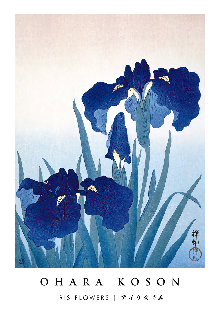 Iris Flowers - Print only