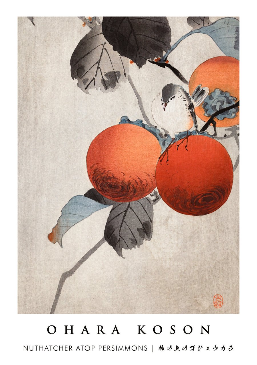 Nuthatcher atop Persimmons - Print only