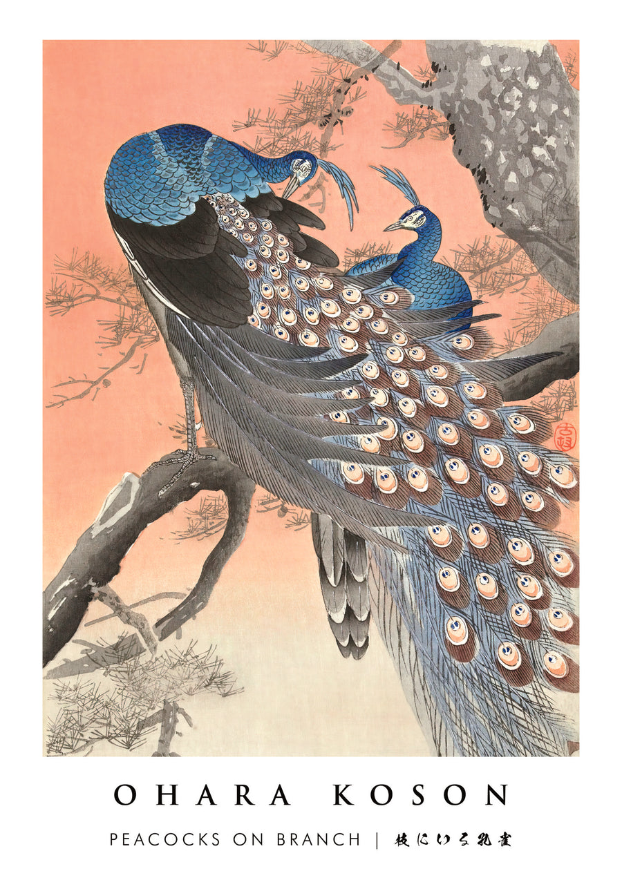Peacocks on Branch - Print only
