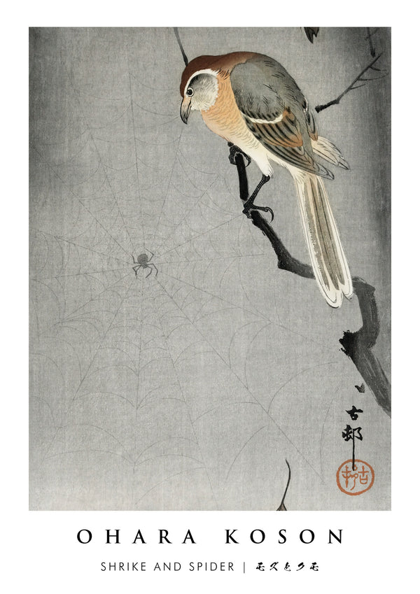 Shrike en Spin