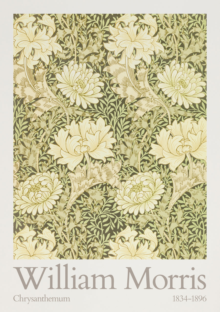 Chrysanthemum - Print only