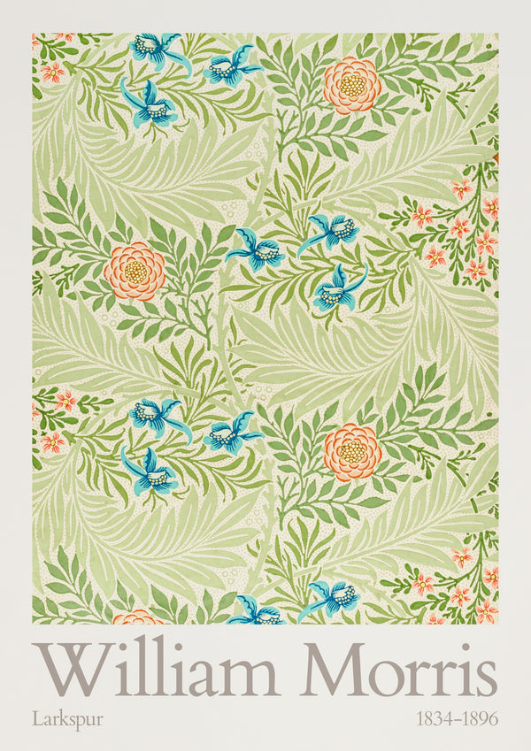 Larkspur
