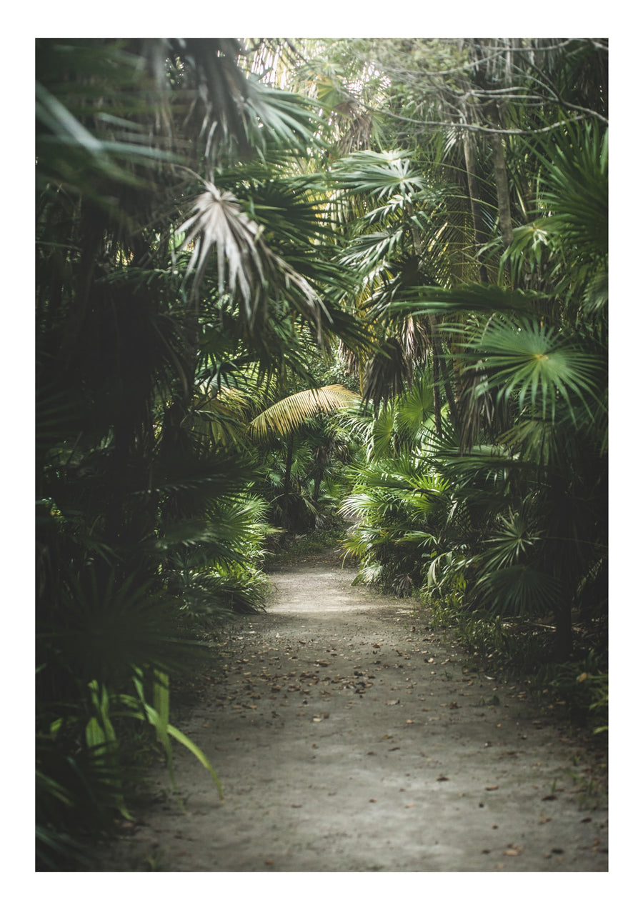 Junglepad - Print only