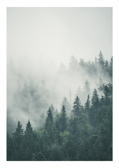 Schotse Mist