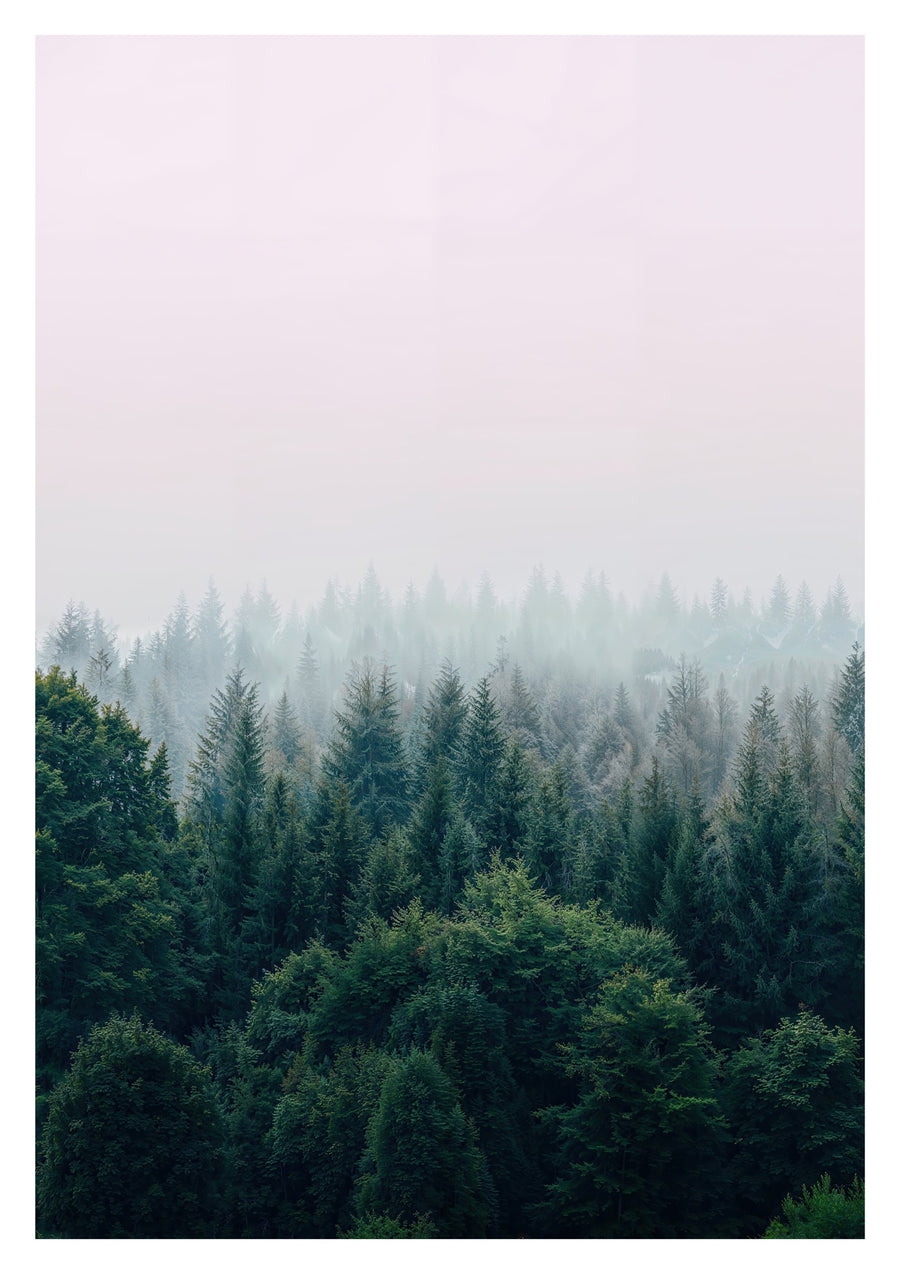 Mistige Bomen - Print only