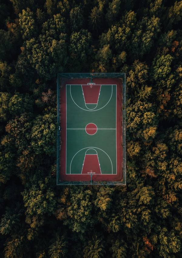 Full Court Autumn