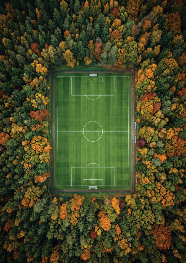 The Clearing