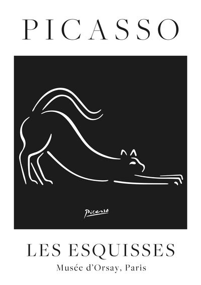 Zwarte Kat