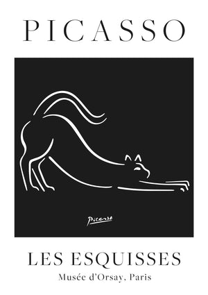 Chat noir