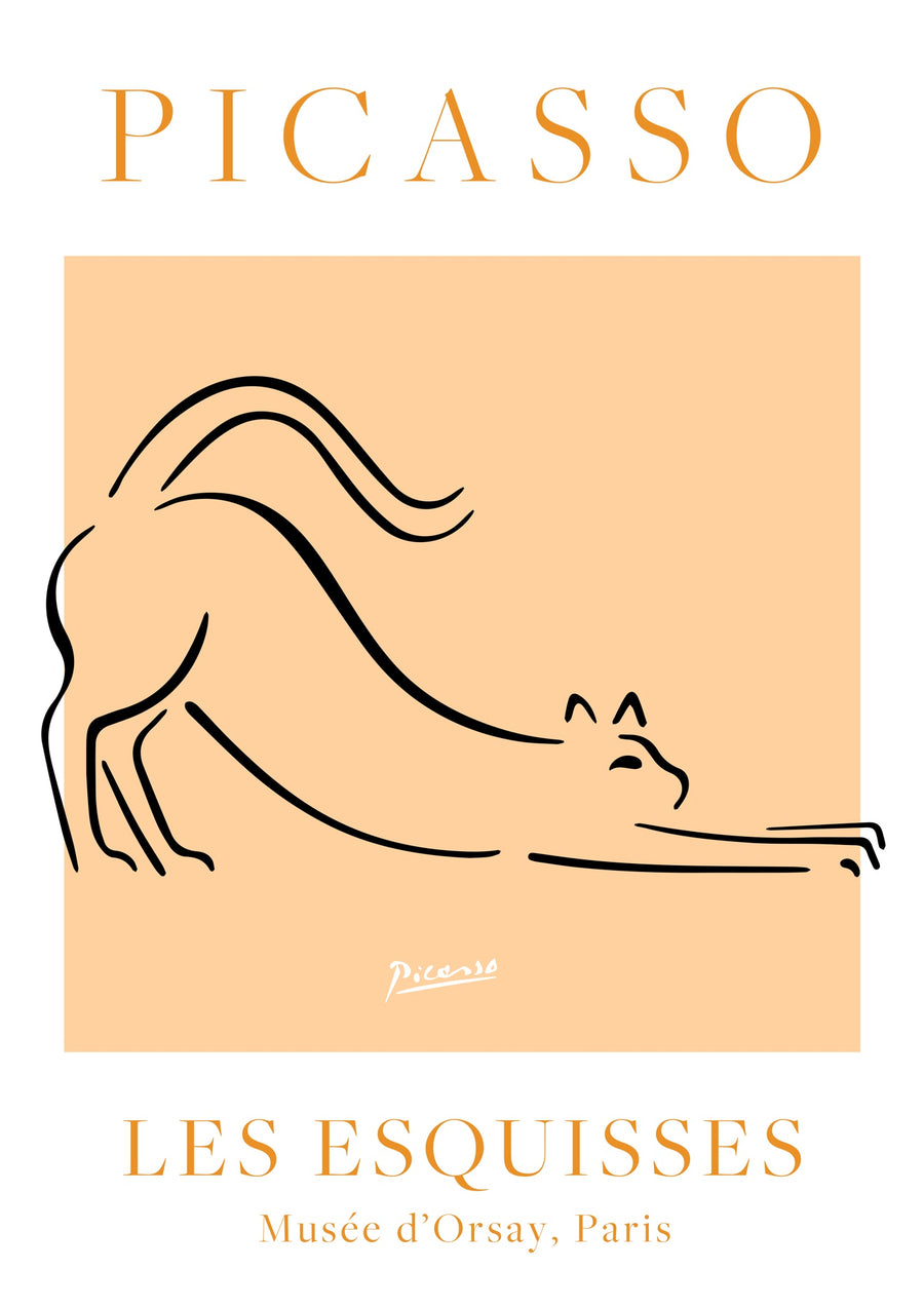 Orange & Vit Katt - Print only