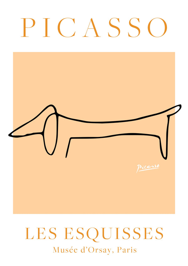 Orange & Chien Blanc