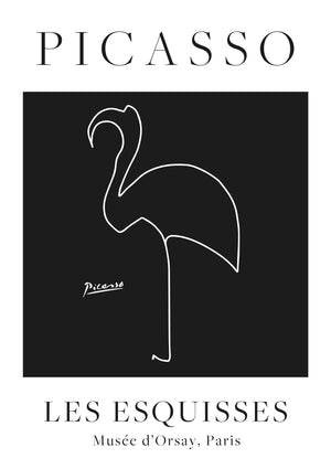 Flamant Noir
