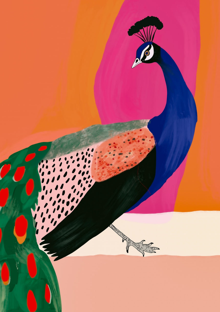 Beautiful Peacock - Print only