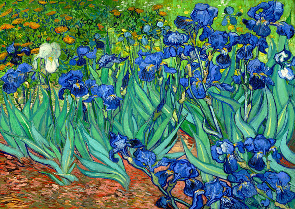 Irises