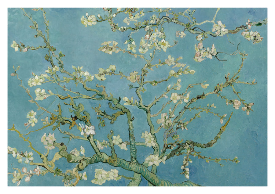 Almond Blossom - Print only