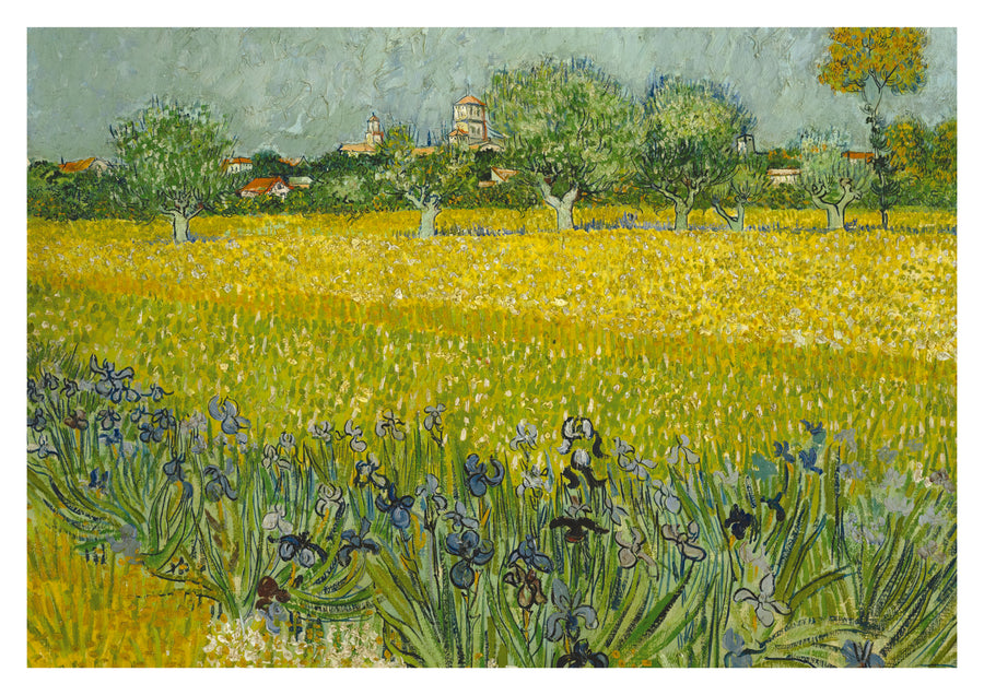 Fält med blommor nära Arles - Print only