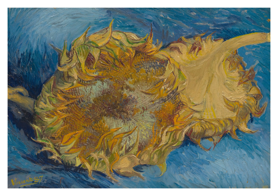 Sunflowers - Print only