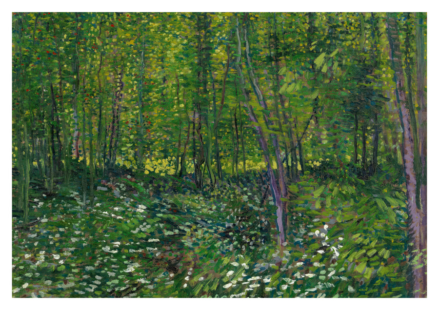Trees & Undergrowth - Print only