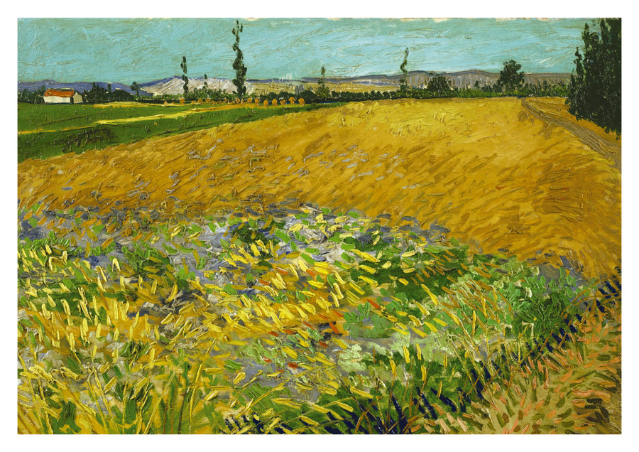 Wheatfield - Print only