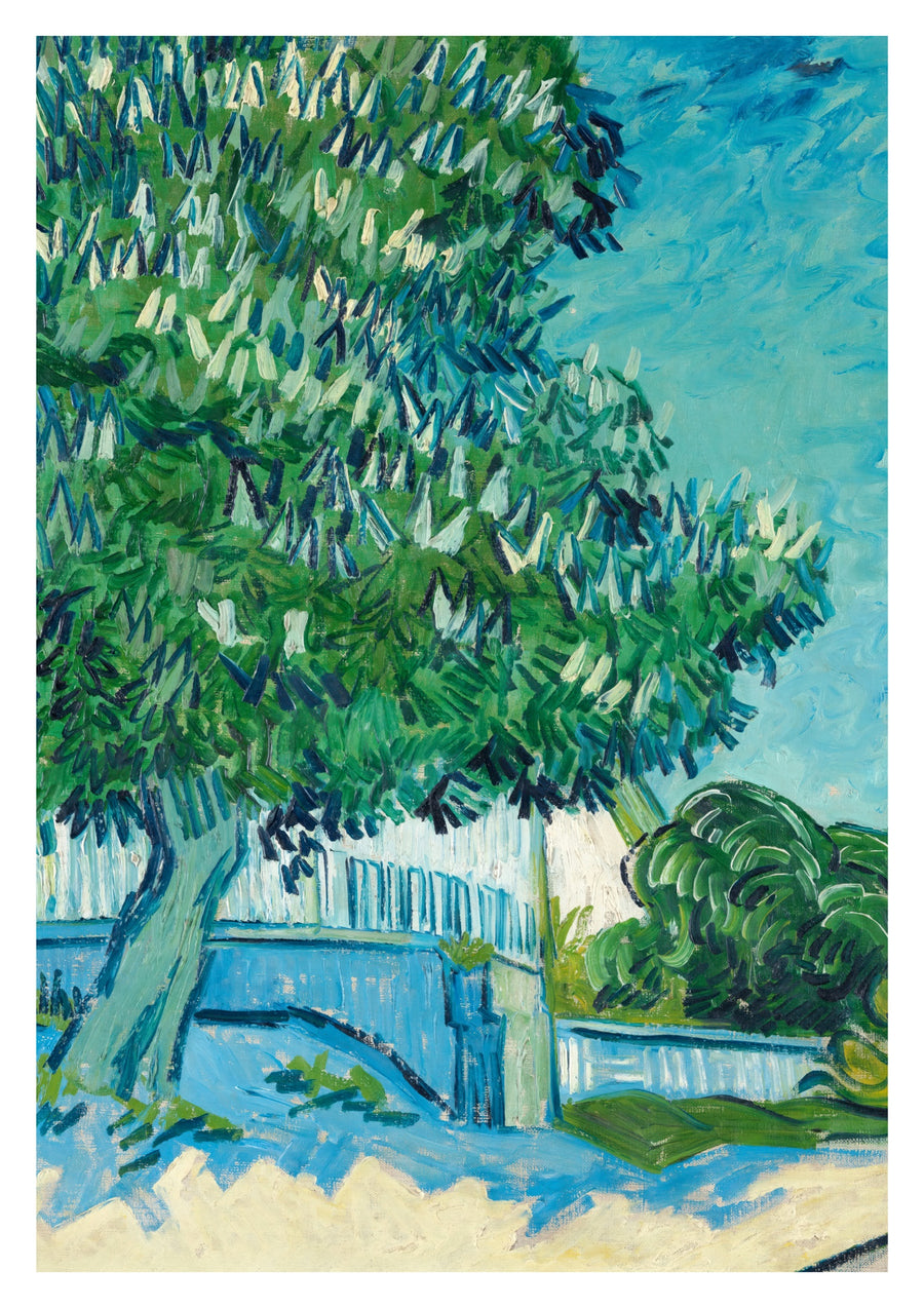 Arbres de marronniers en fleurs - Print only