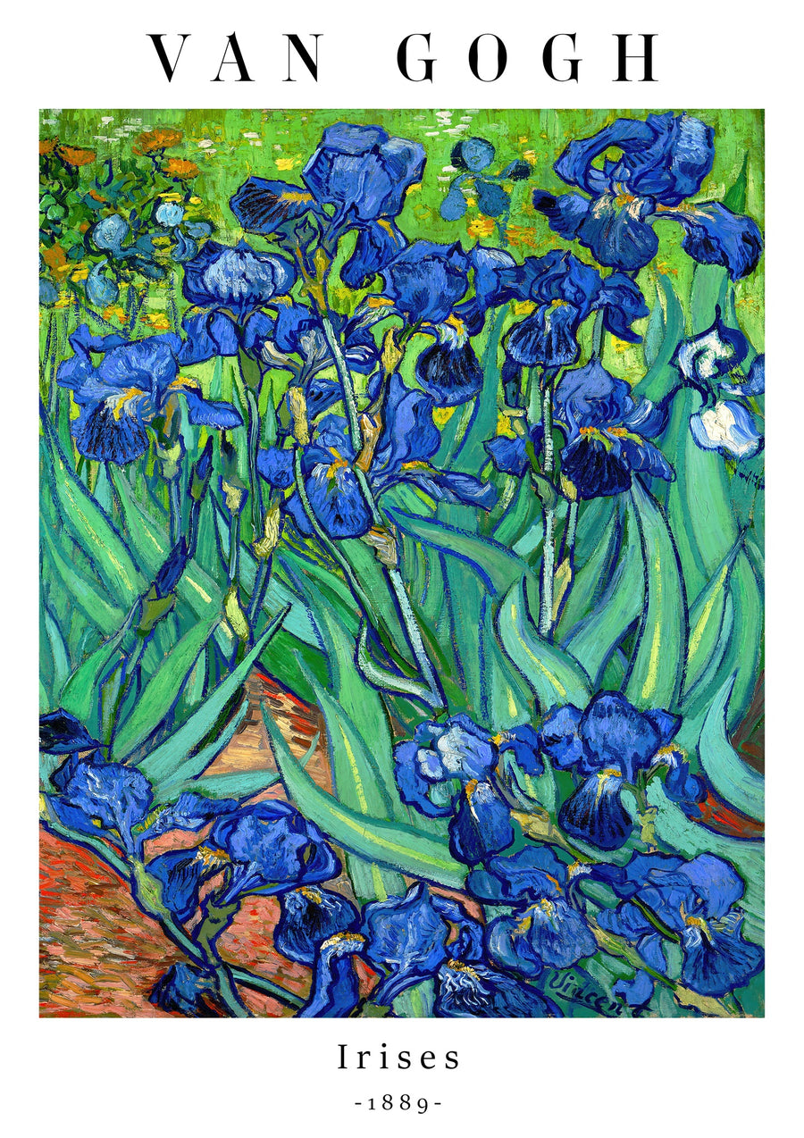 Irises - Print only