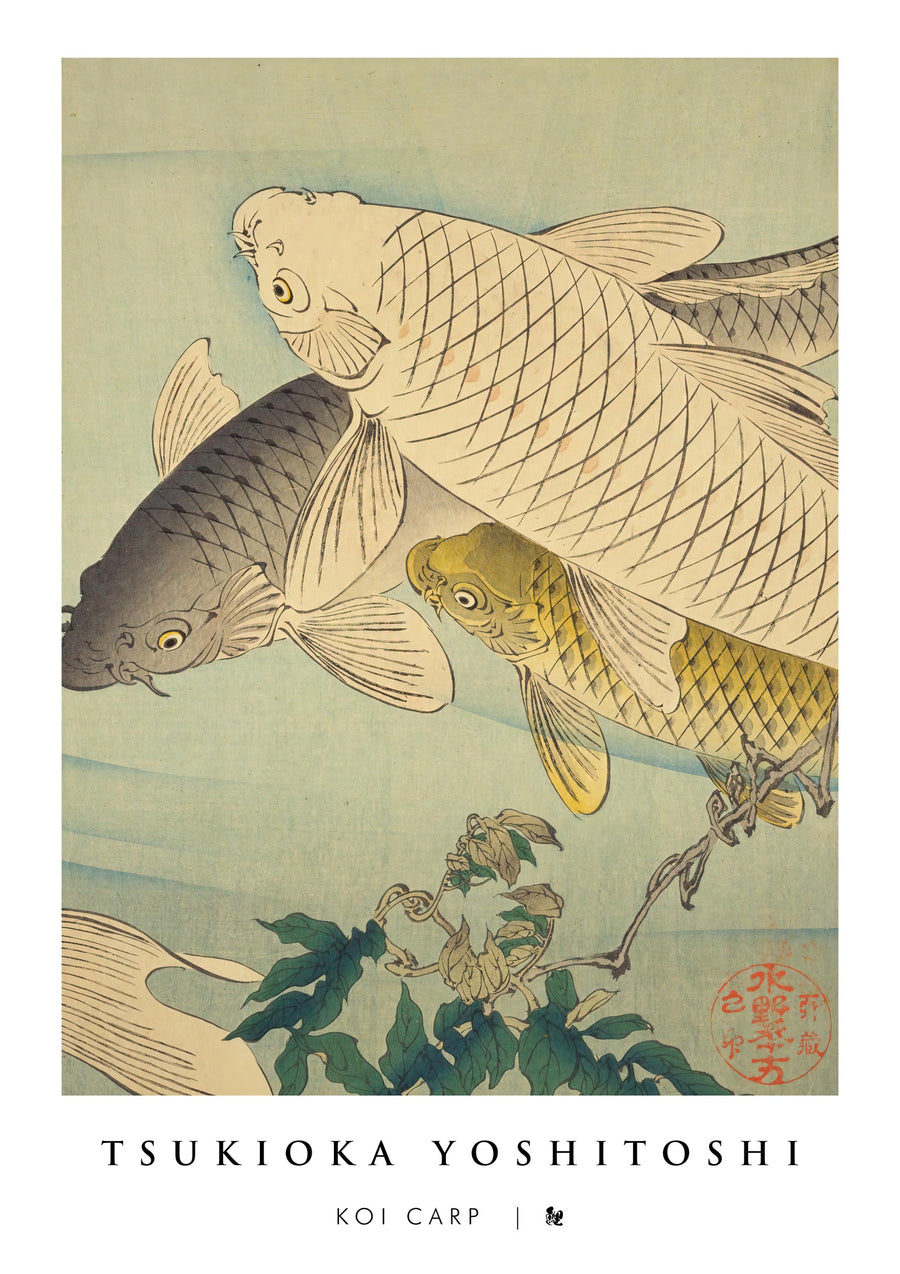 Koi Karper - Print only