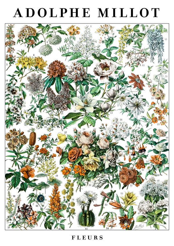 Blommor