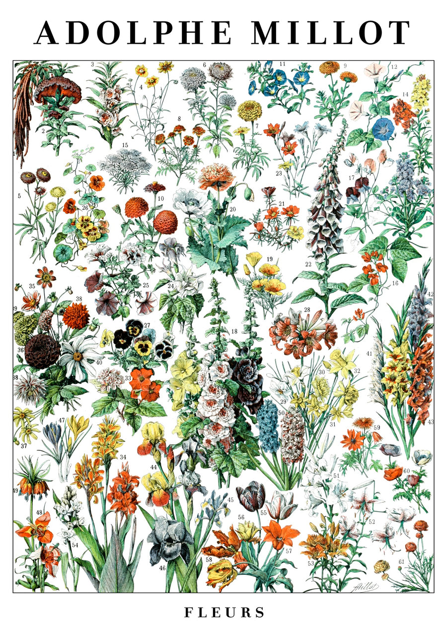 Fleurs - Print only