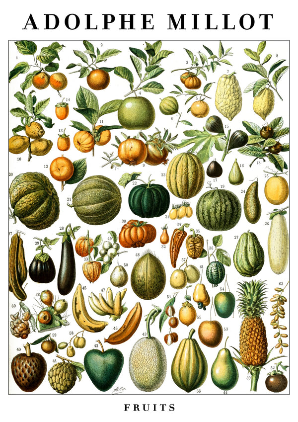 Frukter