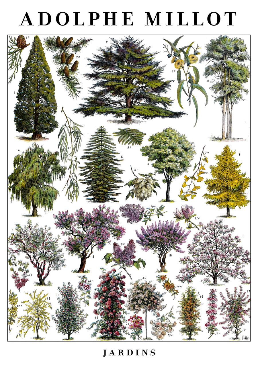 Jardins - Print only