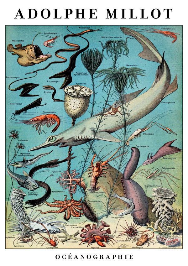 Oceanography