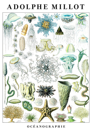Oceanografie