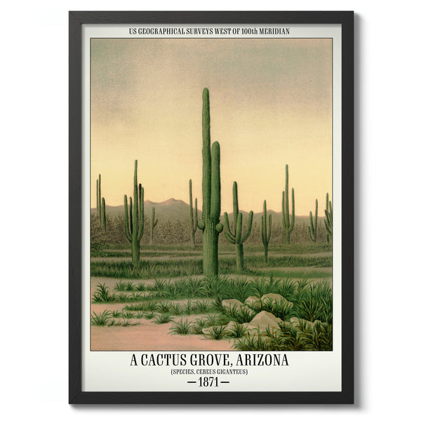 A Cactus Grove, Arizona