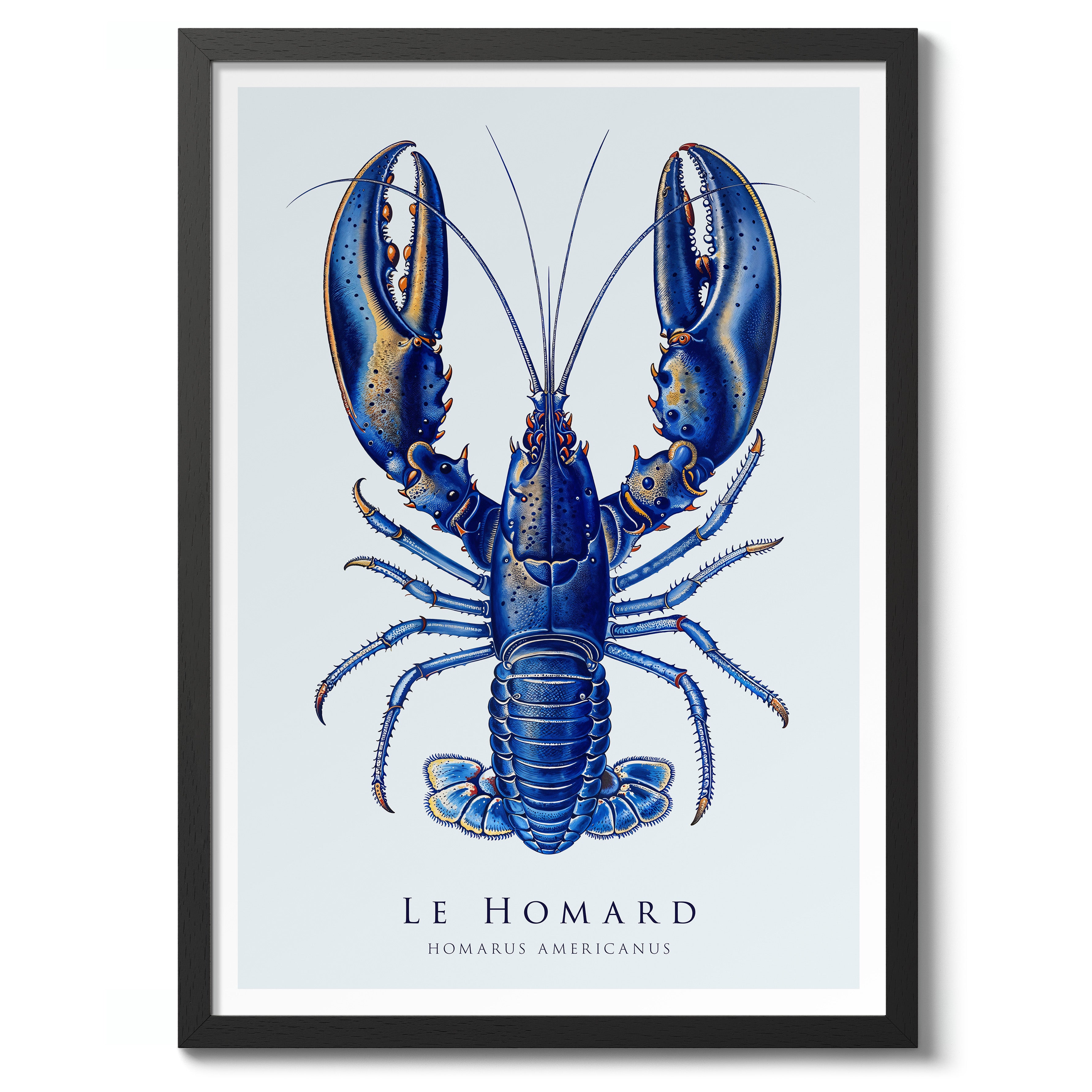 Lobsters Giclee by Kamala shops Dolphin-Kingsley - 16