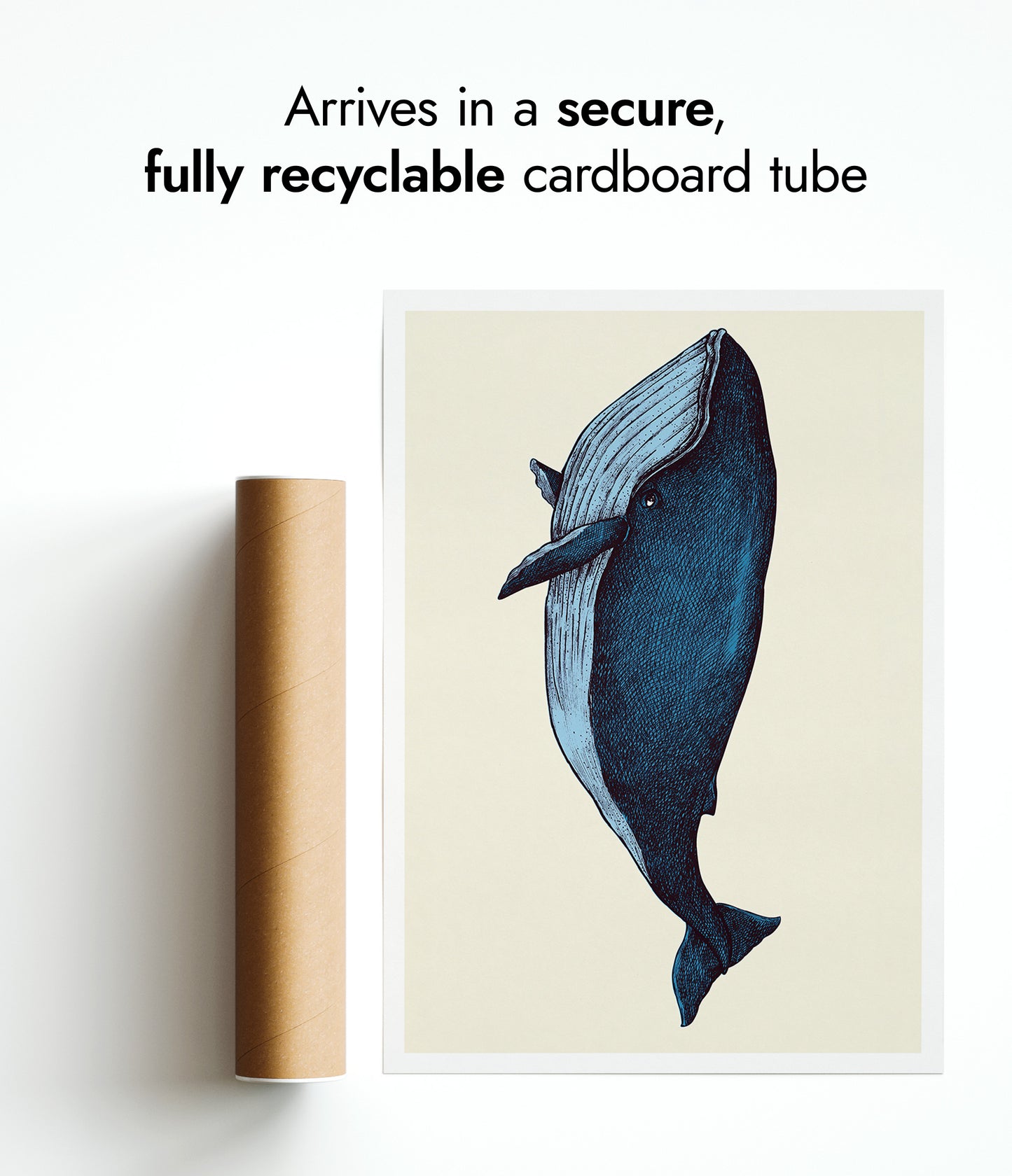 Baleine bleue dessinée à la main