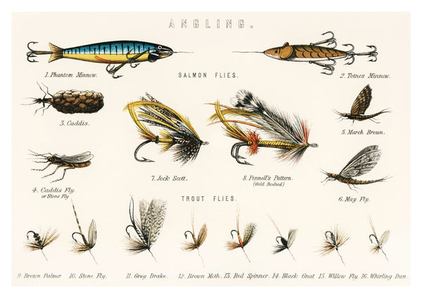 Appâts de pêche