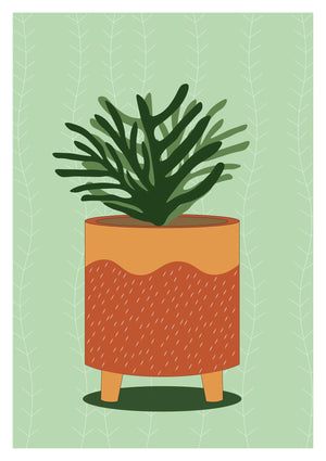 Small Potted Plant