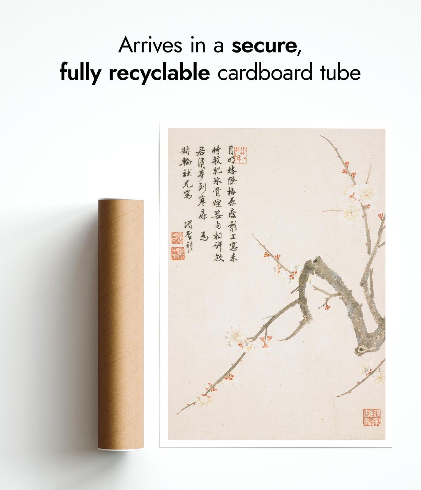 Blossoming Plum Flower