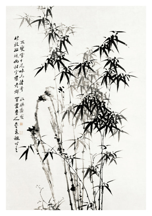Bambou chinois