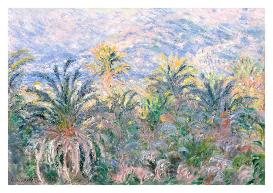 Palmbomen in Bordighera - Print only