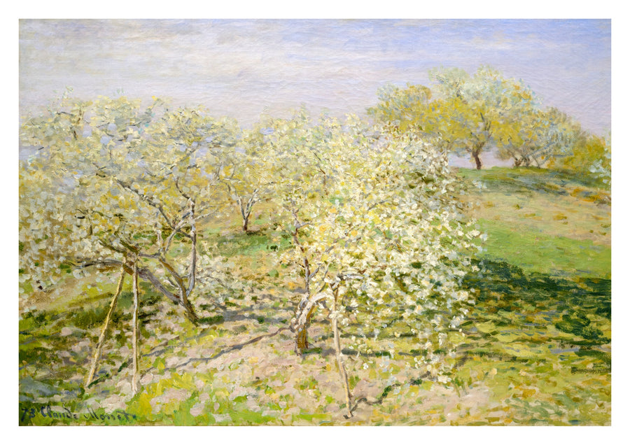 Lente (Fruitbomen in bloei) - Print only
