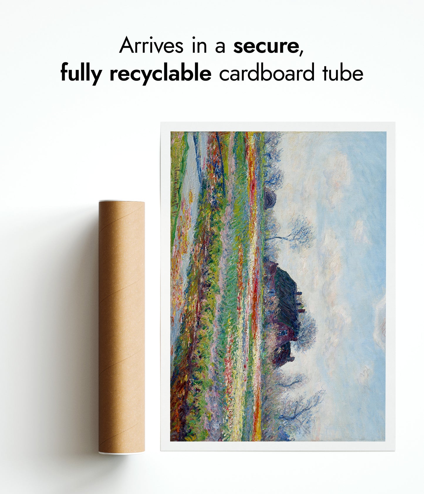 Tulip Fields at Sassenheim