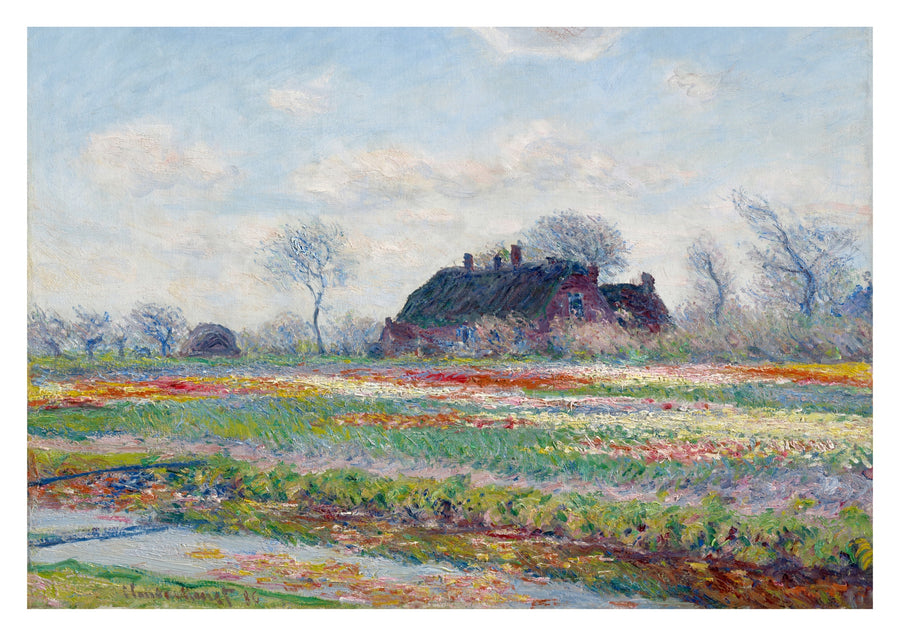 Tulpanfält vid Sassenheim - Print only