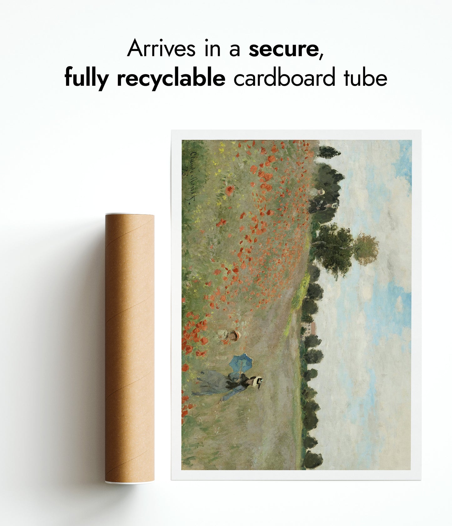 Champ de coquelicots