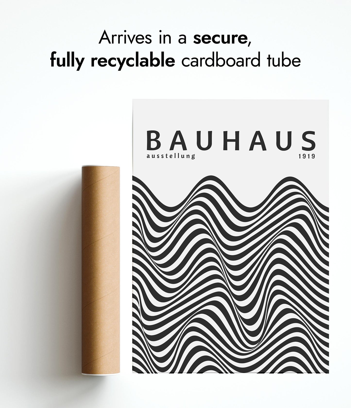 Black & White Zebra Stripes