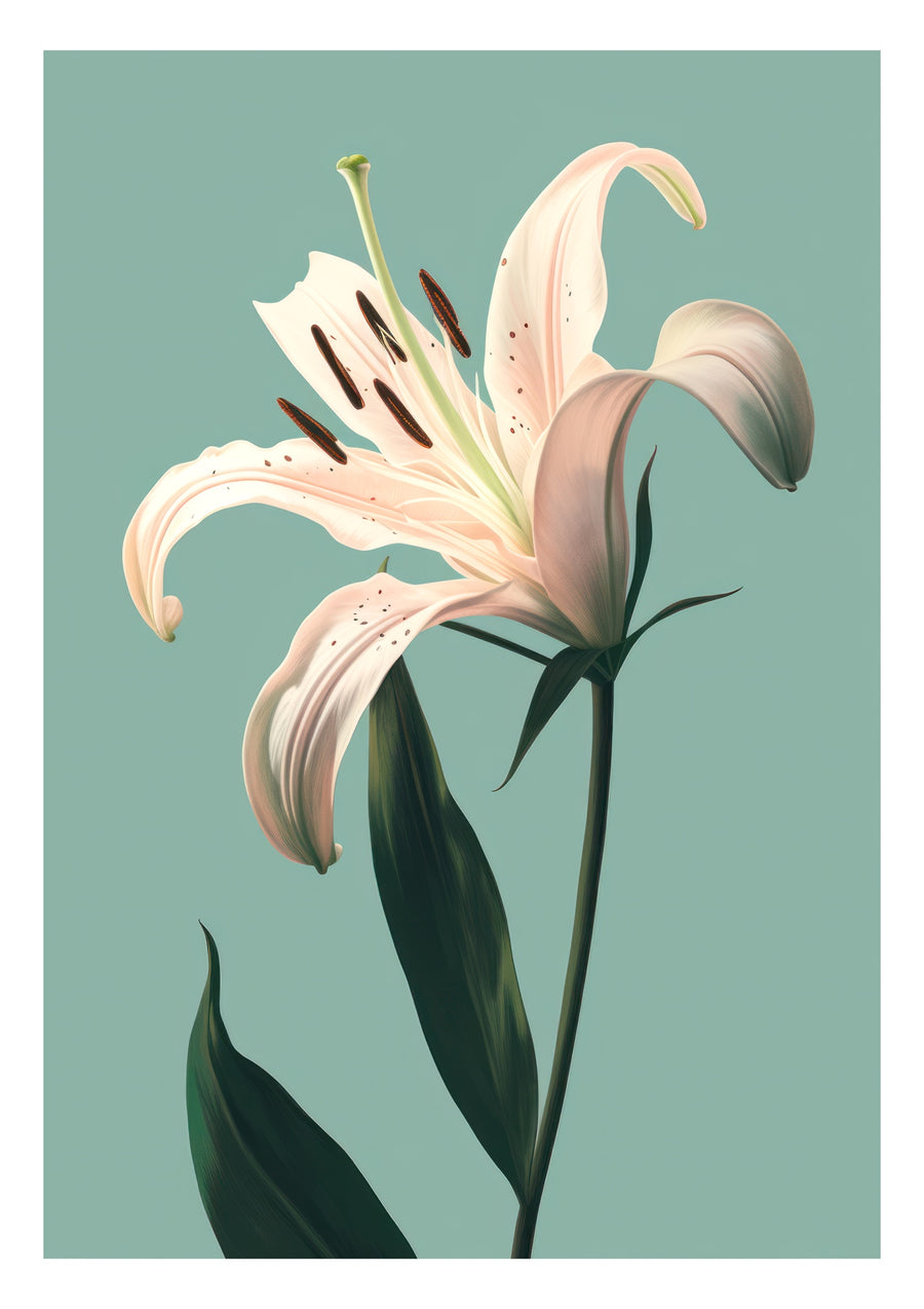 Lily - Print only