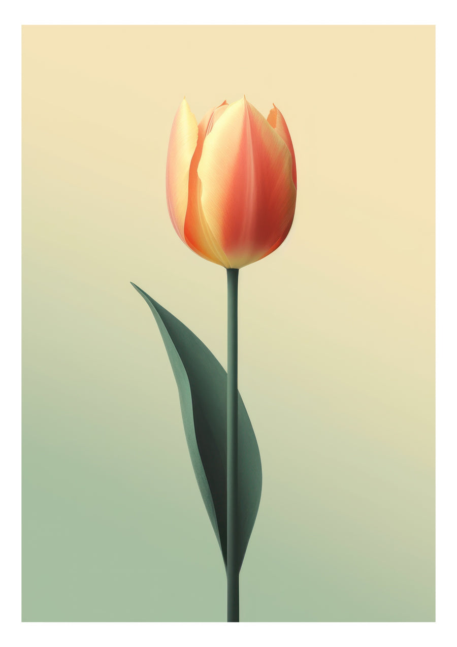 Tulp - Print only