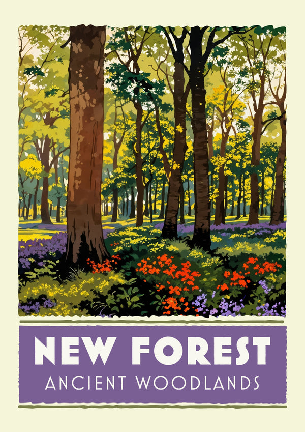 Nouvelle Forêt, Forêts Anciennes